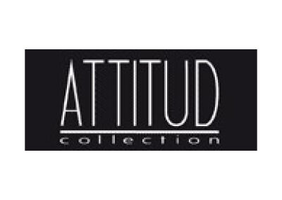 ATTITUD