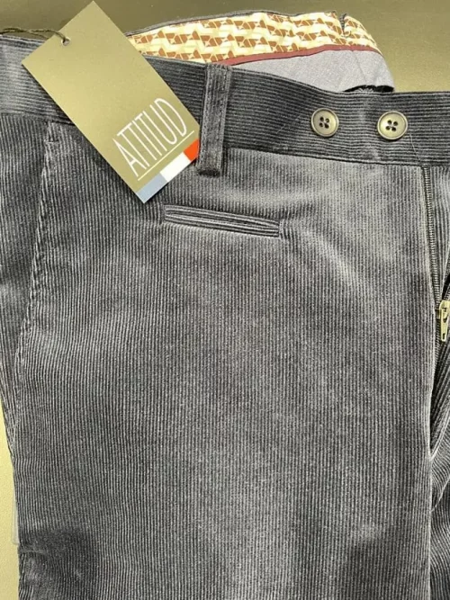 Pantalon Velours Velours 1000 Raies Hamilton Bleu Moyen – Image 2