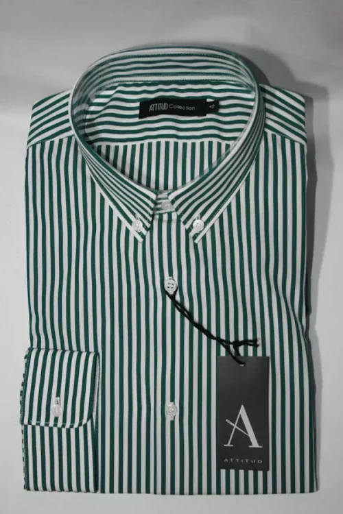 Chemise Manches Longues Ville Rayure Baton Modern Vert Fonce