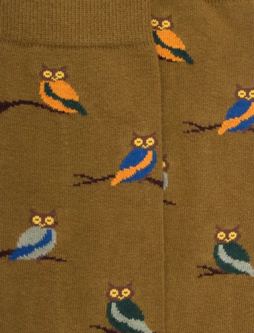 Accessoire Chaussettes Coton Hibou Orange Moyen – Image 2