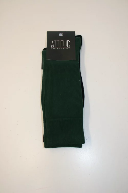 Accessoire Chaussettes Duo Jersey Coton Vert Moyen
