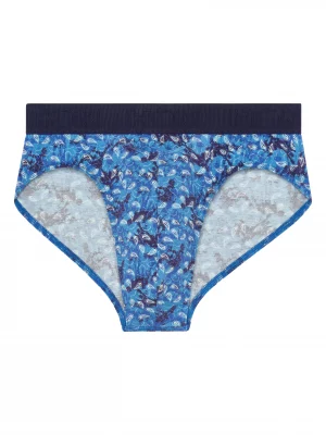 Accessoire Slip Imprime Cachemire Bleu Moyen